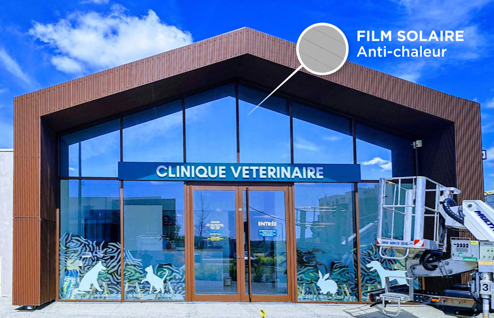 films-solaires-clinique-veterinaire
